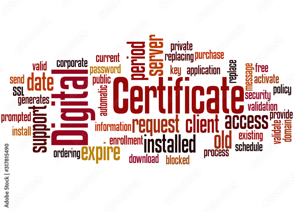 Digital certificate word cloud concept 3 Digital certificate word cloud concept 3