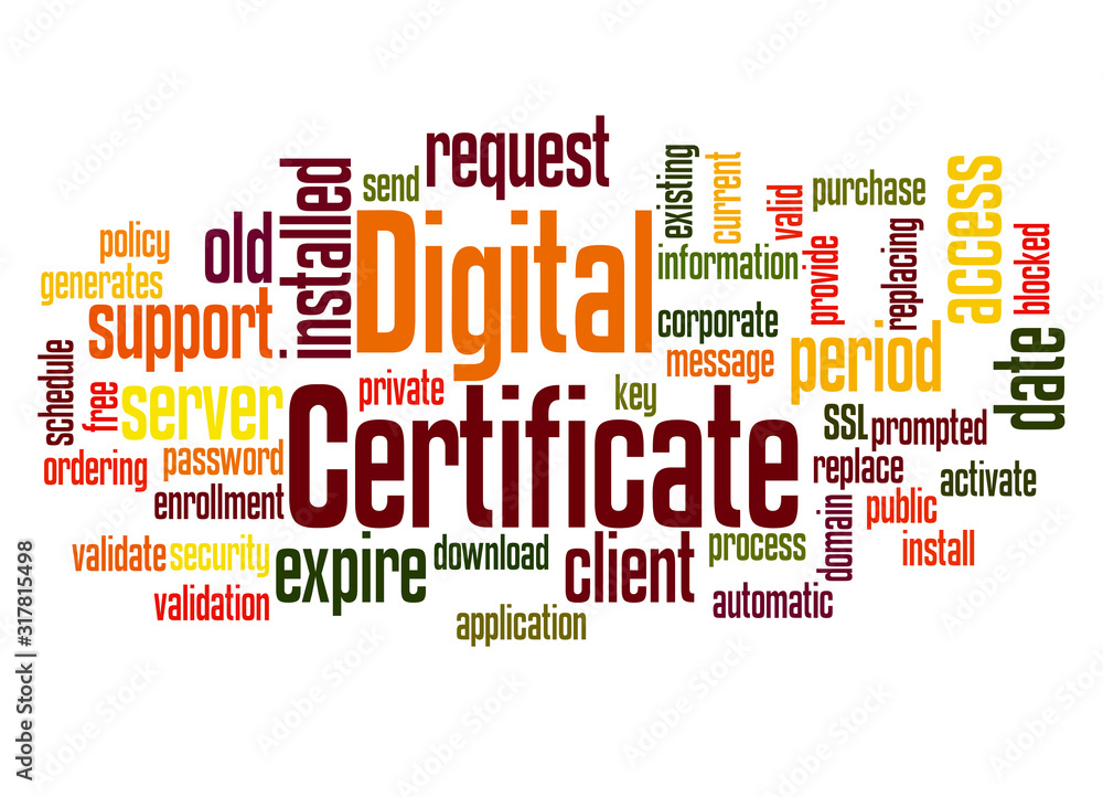 Digital certificate word cloud concept 2 Digital certificate word cloud concept 2