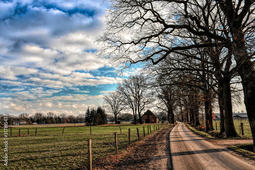 Winter auf dem Land, kahle Bäume, kalt, Landschaft Wolken, blauer Himmel, Weg, Reiterdorf Luhmühlen, schönes Wetter, idyllischn