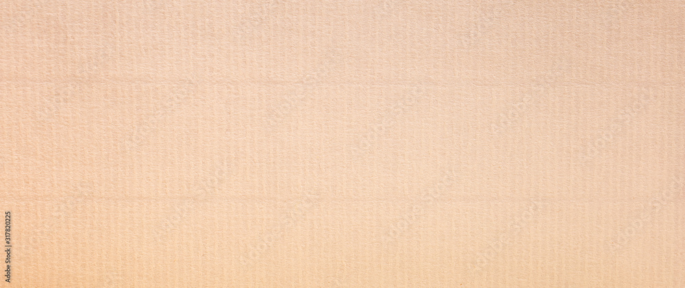 Fototapeta premium texture of old brawn cardboard background