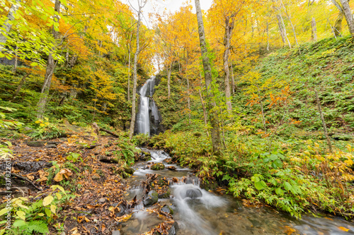 Beautiful fall color of the Kamoi no taki, Oirase Gorge photo