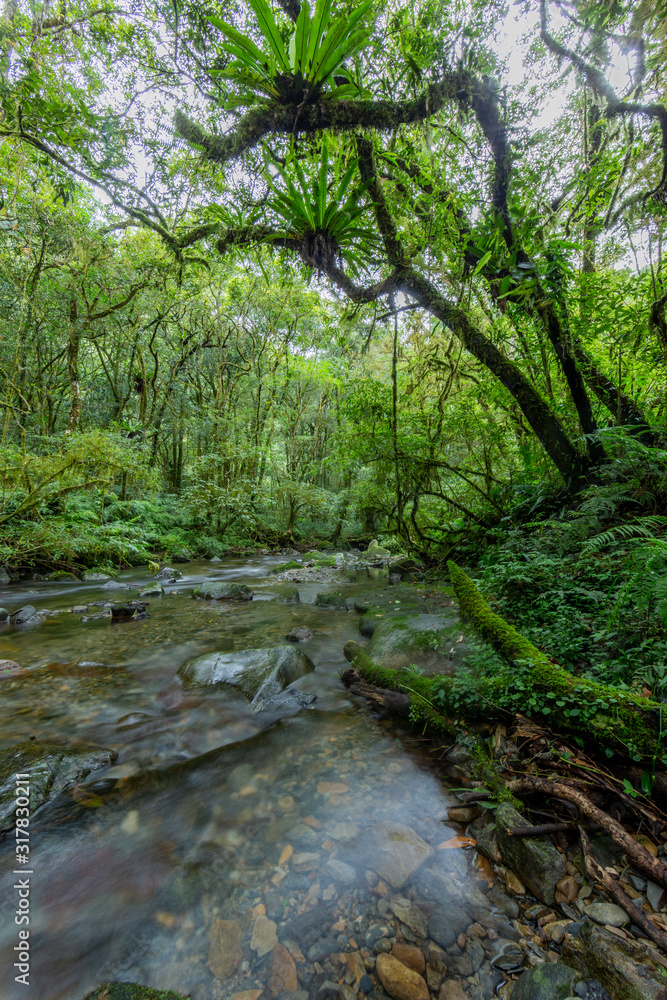 Long exposure panorama picture of a river flowing through a rain forest on the island of Taiwan during daytime Long exposure panorama picture of a river flowing through a rain forest on the island of Taiwan during daytime