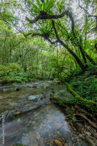 Long exposure panorama picture of a river flowing through a rain forest on the island of Taiwan during daytime