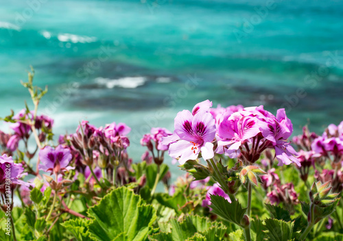 Amazing Bondi Beach, Sydney Australia
