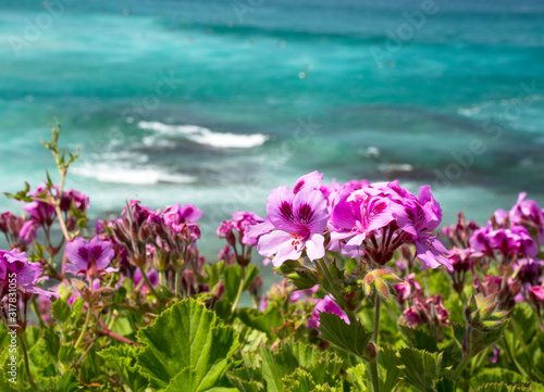 Amazing Bondi Beach  Sydney Australia