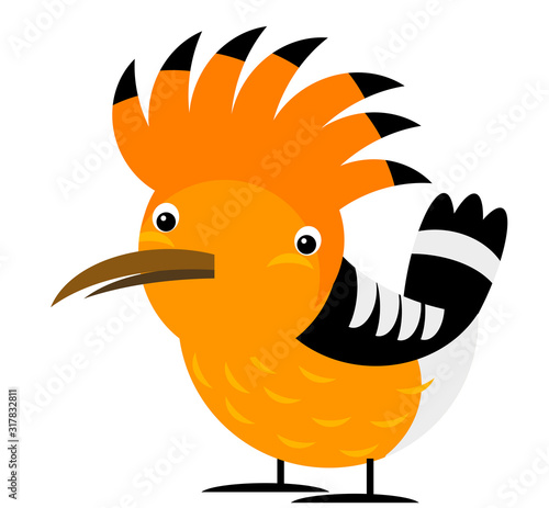 Cartoon exotic hoopoe colorful bird on white background illustration