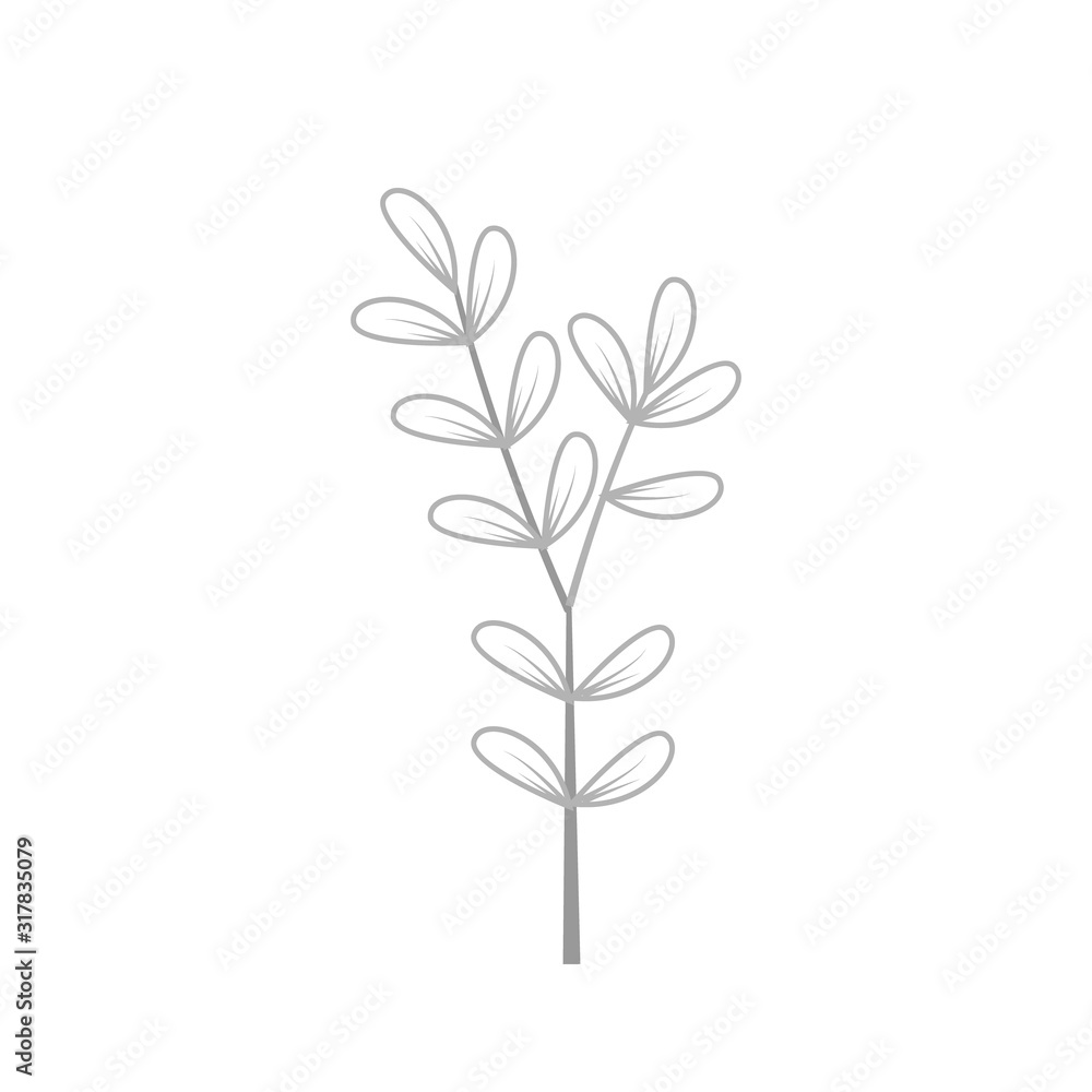 Herb and wild flower hand drawn vector eps 10 Herb and wild flower hand drawn vector eps 10