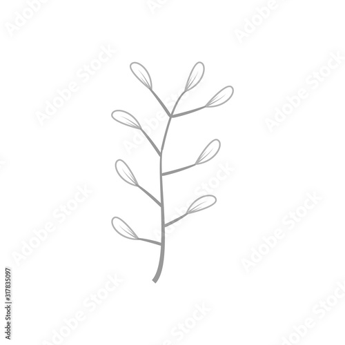 Herb and wild flower hand drawn vector eps 10 © Rizky