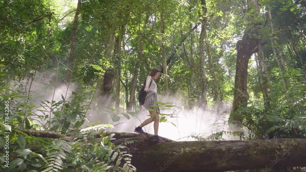 Girl Walk Over High Log In The Forest With Smoke, Slow Motion Girl Walk Over High Log In The Forest With Smoke, Slow Motion