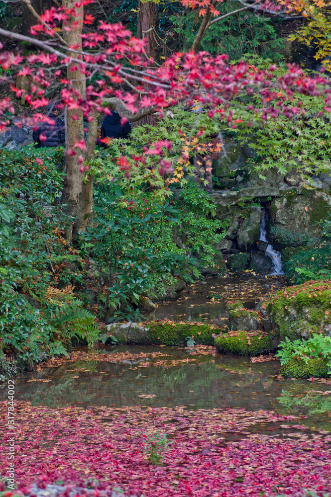 The scenery of autumn leaves in Kyoto,Japan. The scenery of autumn leaves in Kyoto,Japan.