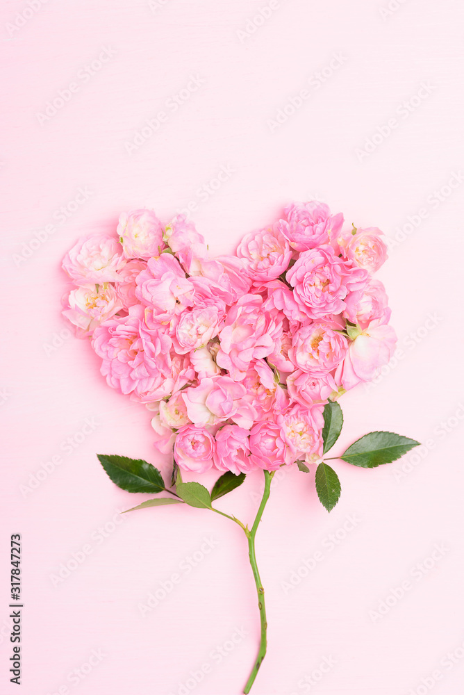 Beautiful pink roses on pink background ( heart shape), Valentines day concept Beautiful pink roses on pink background ( heart shape), Valentines day concept