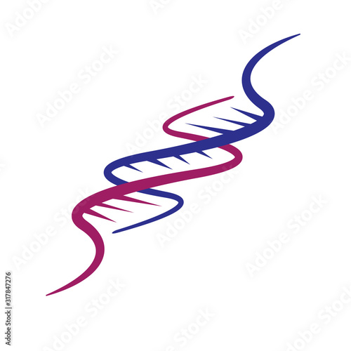 vector helix DNA strand icon isolated on white background