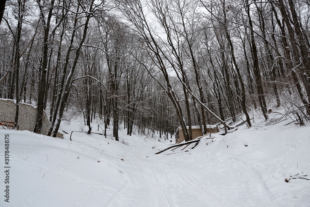 Fototapeta premium Narrow gorge of the Tip-Tyav mountain in the Sokol mountains massif