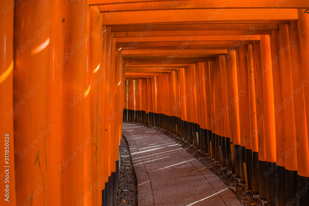 Fototapeta premium fushimi inari