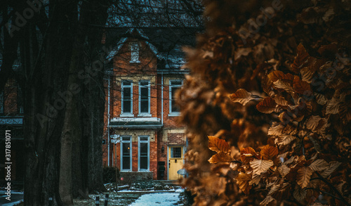 Photography Autumn colours in Toronto