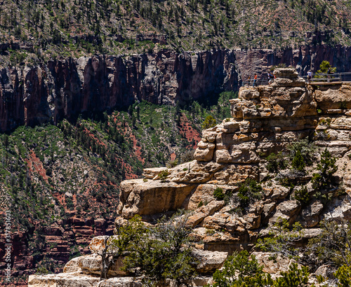 Grand Canyon North Rim Vist photo