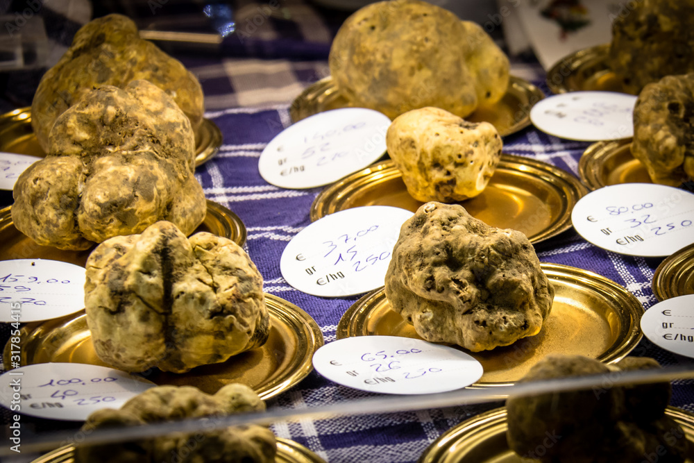 White truffles for sale at the truffle festival in Alba Italy Stock Photo |  Adobe Stock