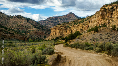 Barrier Sego Canyon, Utah   photo