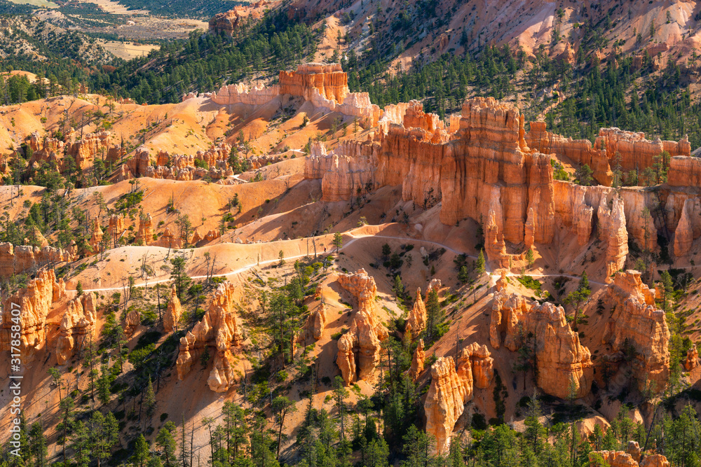 Hoodoos and Forest at Bryce Canyon National Park