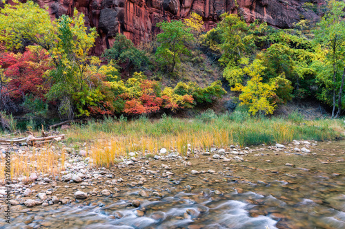 Fototapeta Naklejka Na Ścianę i Meble -  View along Virgin River in Zion National Park Utah