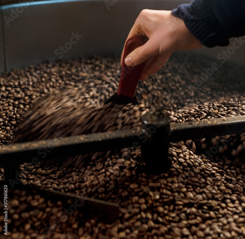 Man inspecting and roasting coffee beans