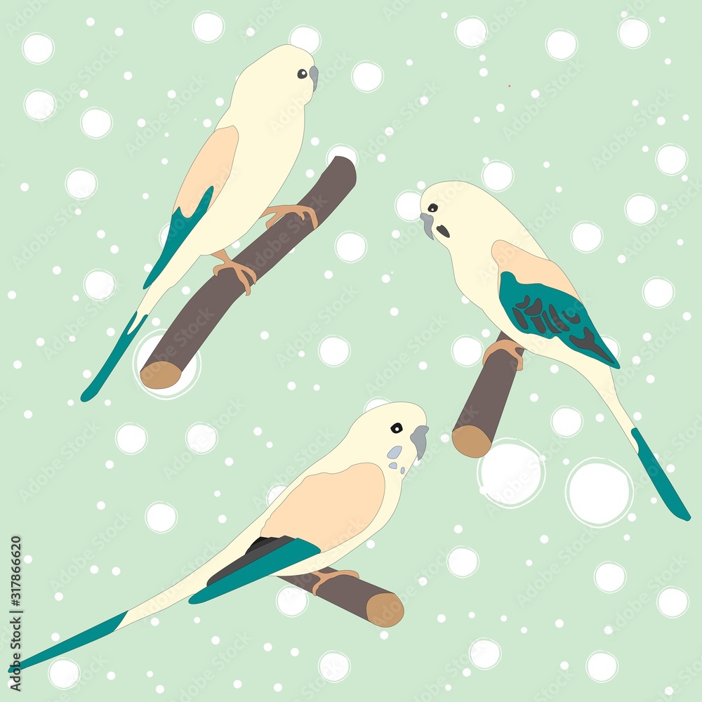 Obraz premium Set of three cute parrot birds sitting on branch and ladder