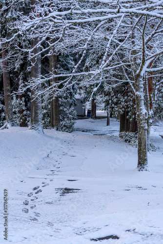 Footprints in snow leading into a park area