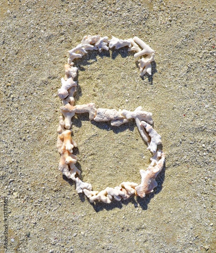 Number 6 six laid out with pieces of coral on a beach background photo