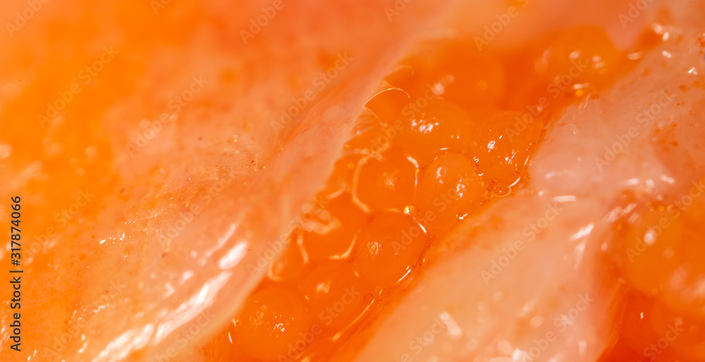 Red caviar in a shrimp as a background Red caviar in a shrimp as a background