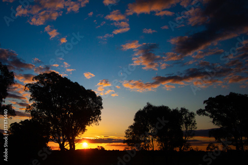 Sunset, darkness and night, view to the sun almost over the horizon, black silhouettes of trees. Australia. High contrast.