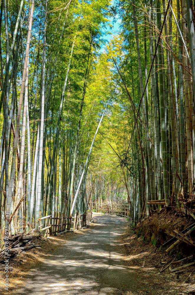 京都一周トレイル　深草トレイル