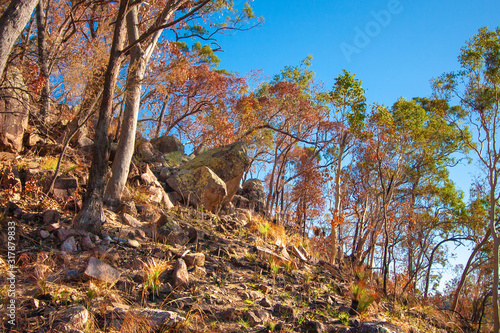 Slope at mountains at Paluma State Forest, near Jourama Falls, Queensland, Australia.