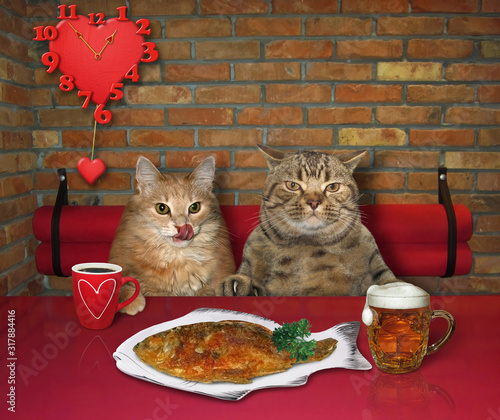 Fotografia, Obraz The couple of cats in love are sitting at the table in a restaurant