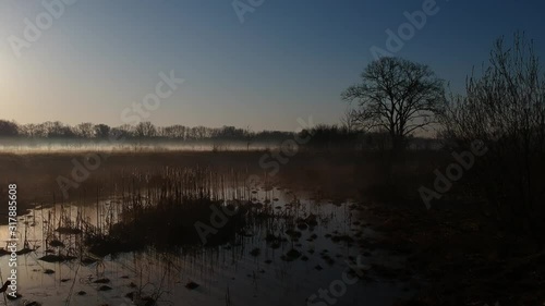 Wallpaper Mural spring swamp in the fog at dawn, drone span Torontodigital.ca