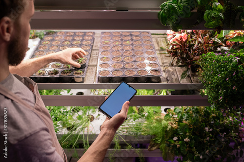 Young contemporary male farmer or selectionist scrolling in smartphone photo