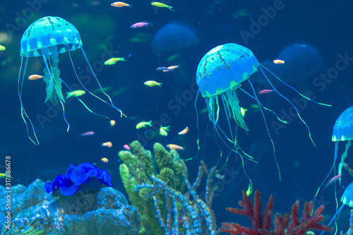 Blue small gelly fishes underwater