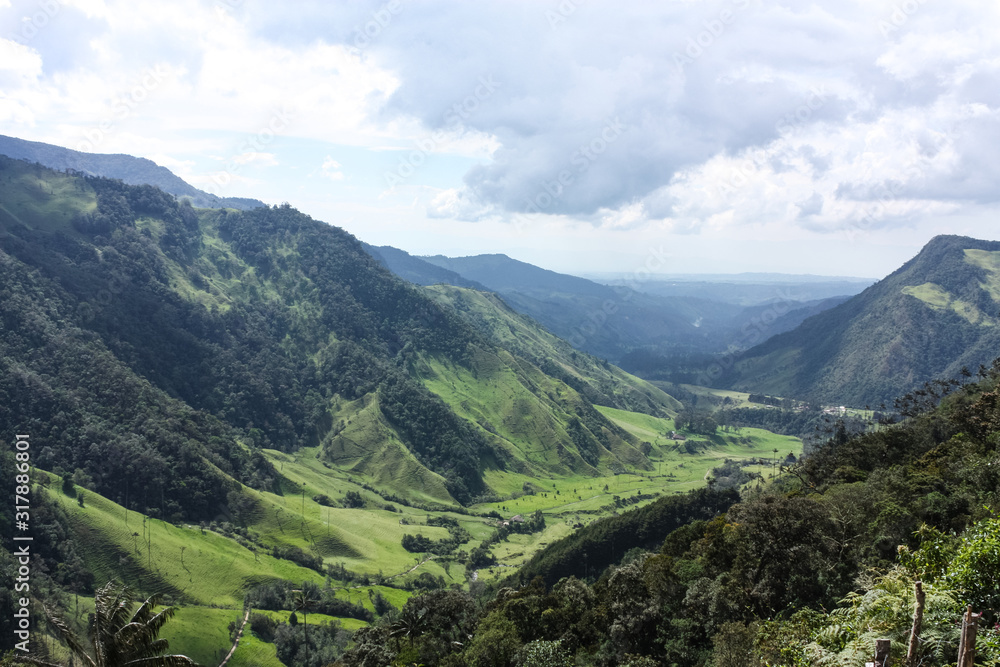 Cocora Valley, which is nestled between the mountains of the Cordillera Central in Colombia.