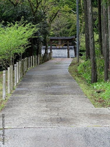 白山社 谷内妙法寺 © 遠嶋 良一