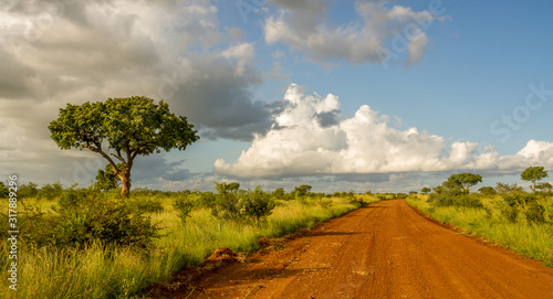 Landscape with a dirt road and African savanna in the Kruger National Park in South Africa image in horizontal format