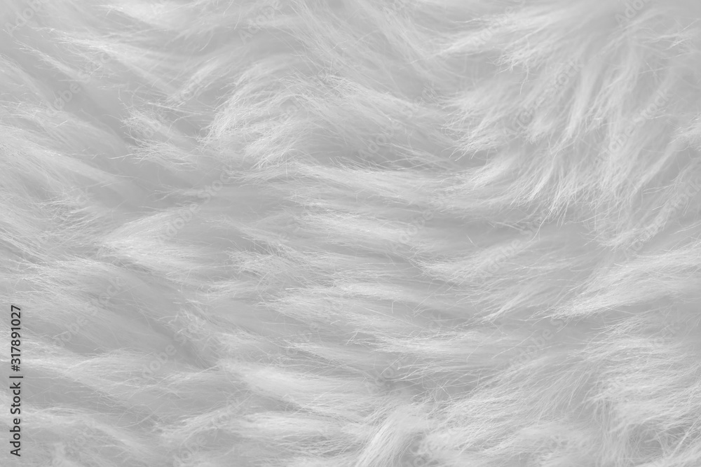 Fototapeta premium White real wool with beige top texture background. light cream natural sheep wool. seamless plush cotton, texture of fluffy fur for designers