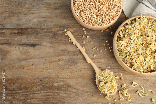 Flat lay composition with green buckwheat on wooden table, space for text