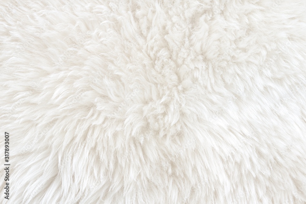 White real wool with beige top texture background. light cream natural sheep wool. seamless plush cotton, texture of fluffy fur for designers White real wool with beige top texture background. light cream natural sheep wool. seamless plush cotton, texture of fluffy fur for designers