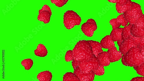 raspberryes group fruits animation transition green screen chroma key photo