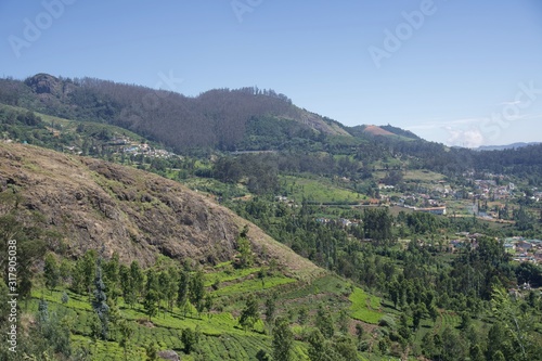View point and green trees with blue sky and tea garden  © karthikeyan