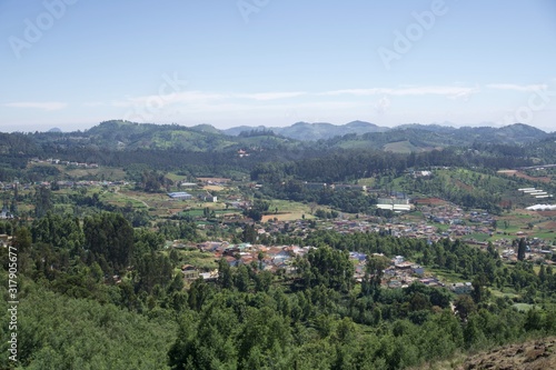 View point and green trees with blue sky and tea garden 
