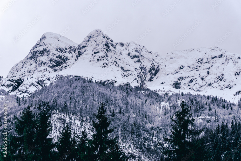 Obraz premium The snowy mountains, the forest and the nature of the Alps during a winter day near the town of Ardesio, Italy - December 2019.