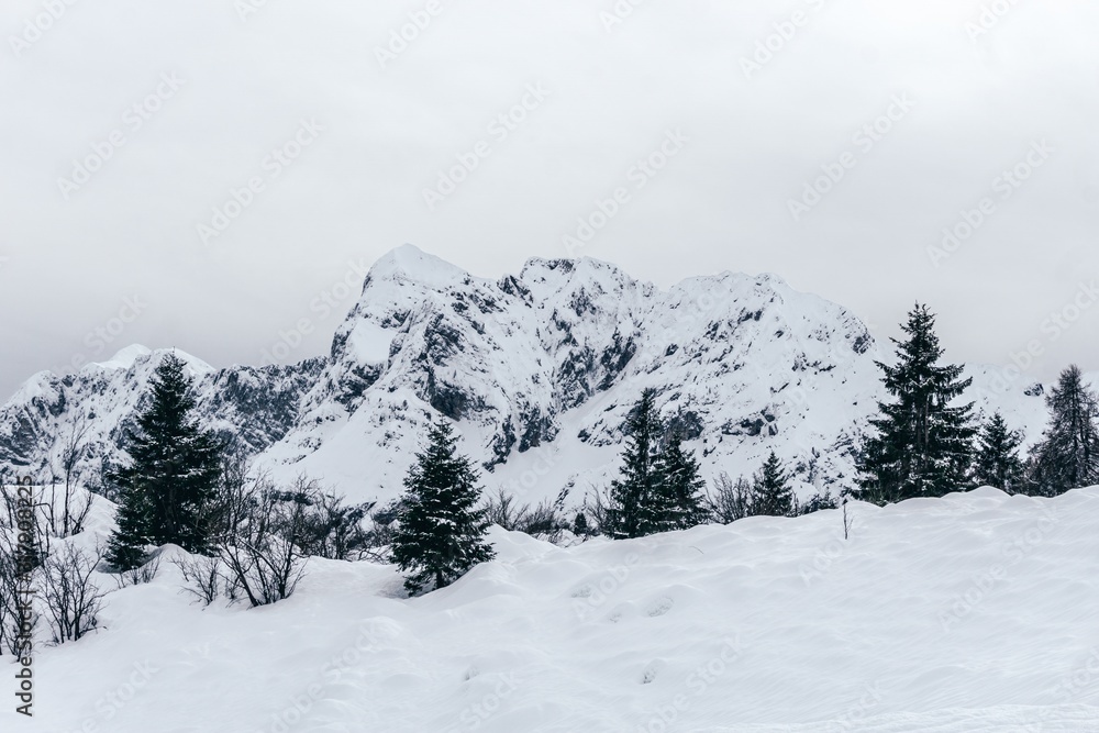 The snowy mountains, the forest and the nature of the Alps during a winter day near the town of Ardesio, Italy - December 2019. The snowy mountains, the forest and the nature of the Alps during a winter day near the town of Ardesio, Italy - December 2019.