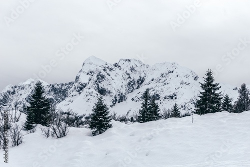 The snowy mountains, the forest and the nature of the Alps during a winter day near the town of Ardesio, Italy - December 2019. © Roberto