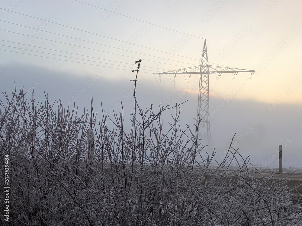 Fototapeta premium Stromleitungen im Nebel