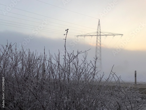 Stromleitungen im Nebel photo